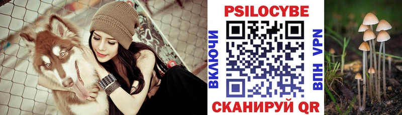 Псилоцибиновые грибы GOLDEN TEACHER  купить   Верхняя Тура 